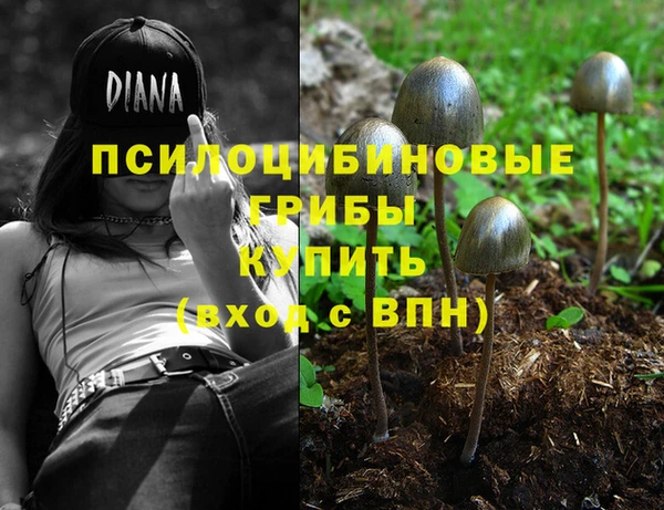 марки nbome Алексеевка