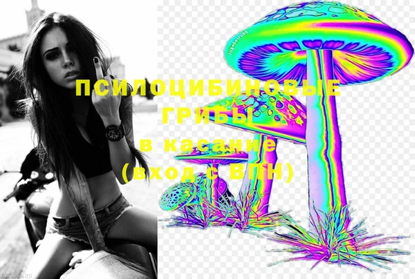 прущие крисы Алзамай